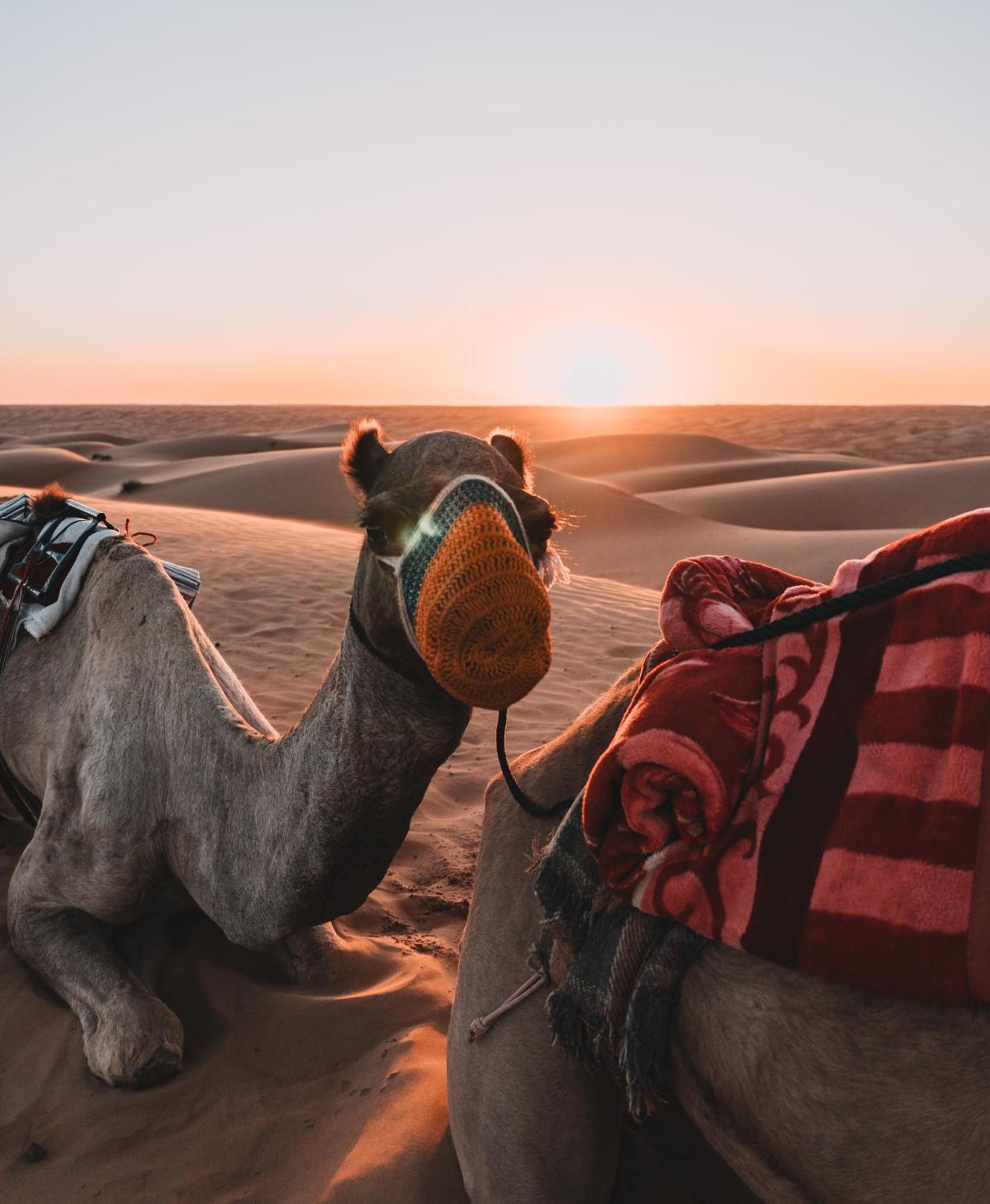 Hamood Desert Private Camp Al Wasil Екстер'єр фото
